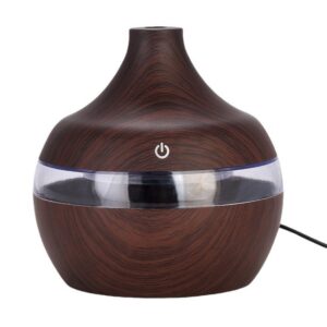 Dehumidifier with display light